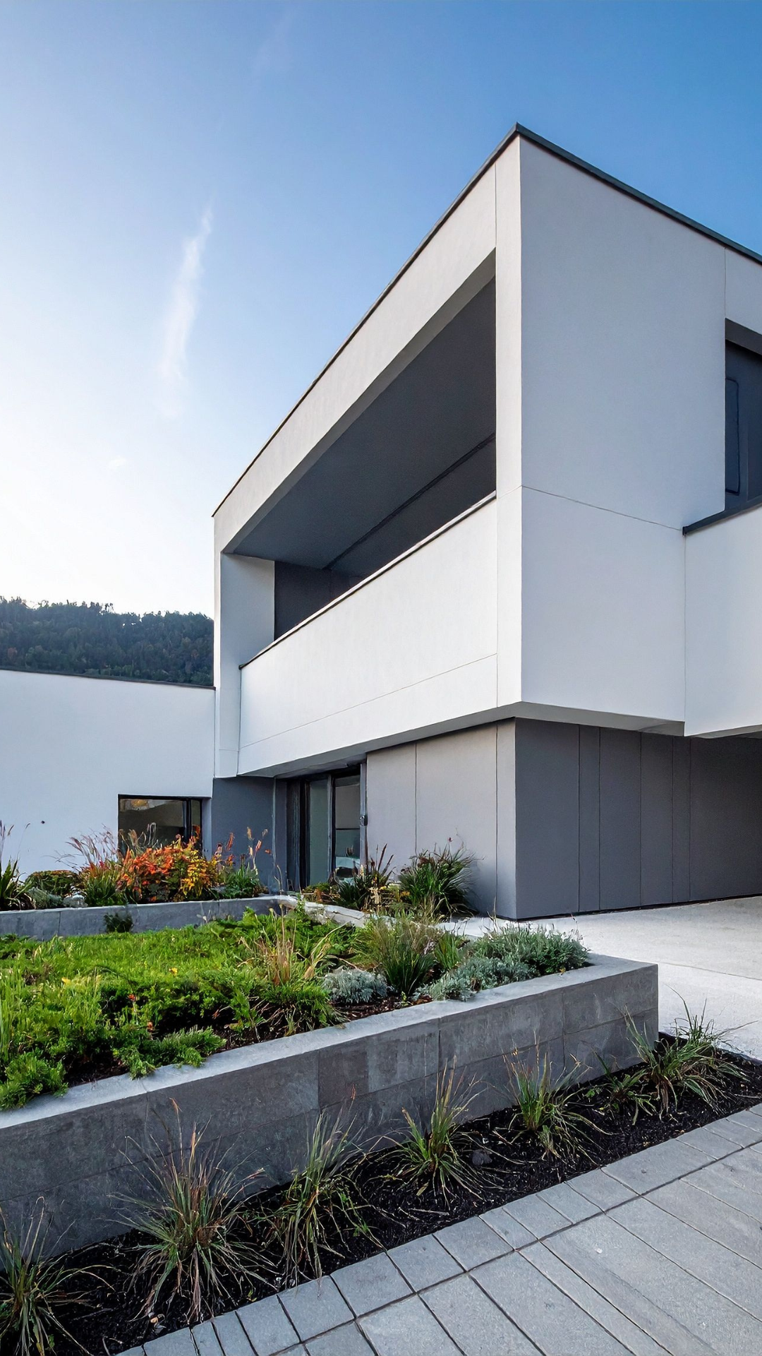 Expert Financial Guidance